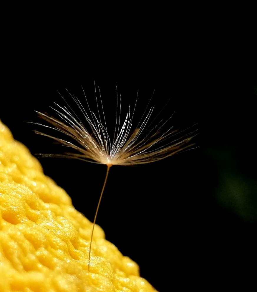 ScharfesF's tweet photo. Moin
Muckerl
Make a wish https://t.co/5KAyDzuNcb