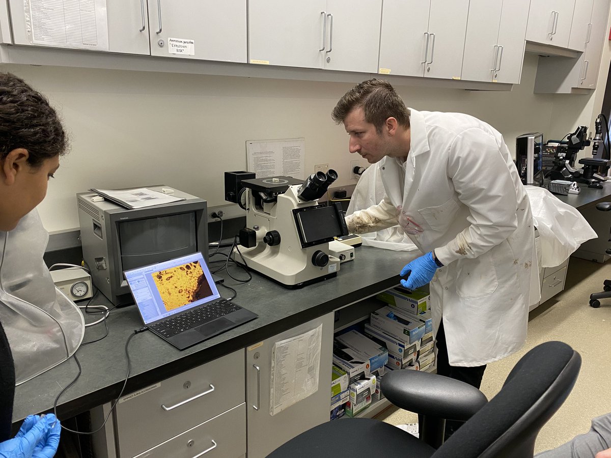 mateit4's tweet image. An intensive, fun, and fulfilling 3-day workshop doing metallography. Super excited to keep at it and take this show on the road. #archaeometallurgy #metallography #ucla #getty #metals #lab @UCLACotsen