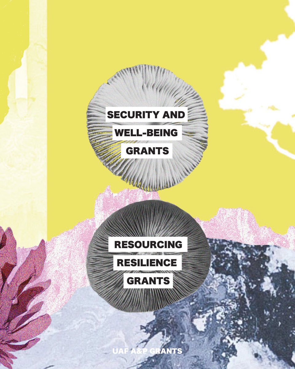 UAF_AnP's tweet image. We are eager to learn more about your activism and struggles so that we can better support you in moments of need. Please write to us at grants@uafanp.org 💌

To learn more about our rapid response grants and other resources, visit our website: uafanp.org/our_grants