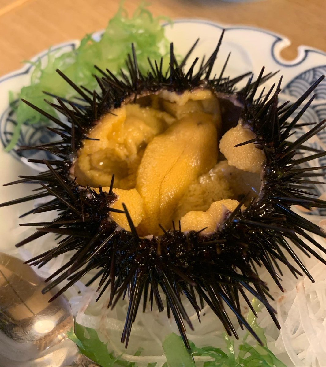 kaorutofu's tweet photo. 三陸旅。泊まった宿では、女将が津��に飲み込まれながらも、どうやって生き延びたか、動画付きで解説。その後は車椅子でも登れる避難路を作ったり、鎮魂の花火をあげたり、エネルギッシュに活動されています。😆美味なる海鮮、美しい自然、是非、三陸へ　#三陸　#宝来館 https://t.co/wjRzxNQS0M