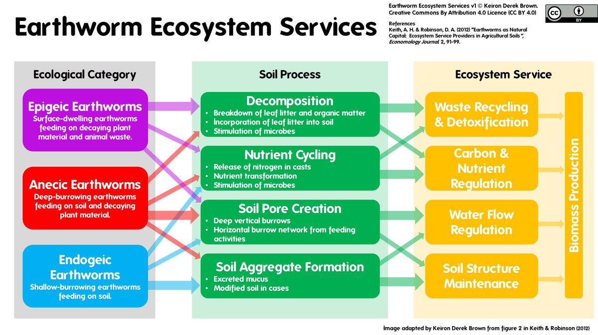 cronicasdefauna's tweet photo. Es difícil resumir la cantidad y calidad de los servicios ecosistémicos que las lombrices nos prestan, que "agradecemos" con la extensión de la agricultura industrial, con los pesticidas y agroquímicos que diezman la población de lombrices. Para saber más: https://t.co/8FNfI9ysUv https://t.co/JNMJ7vzKFX