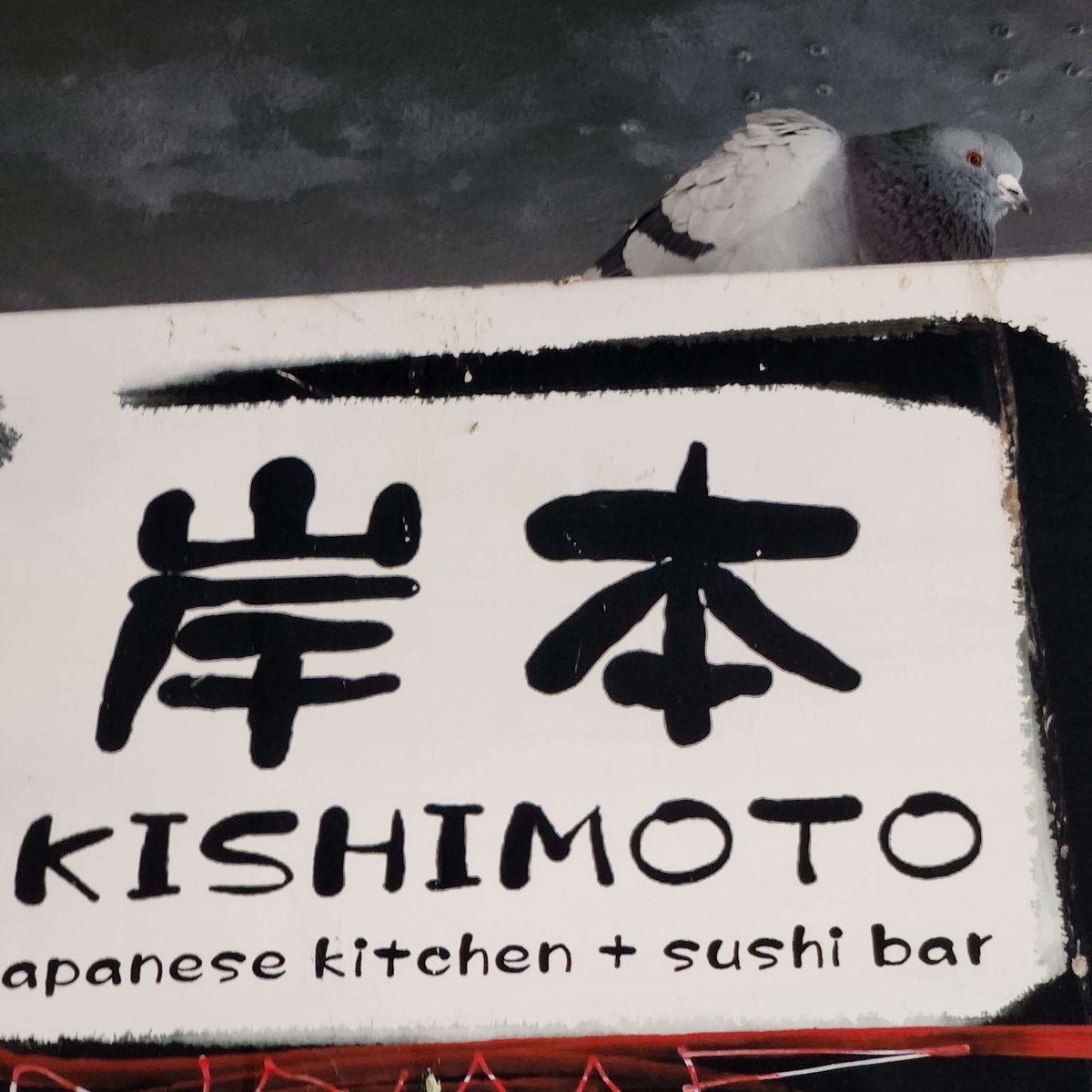 spacecoyotl's tweet photo. @DemiNaito p.s. I like to take photos of cute pigeons on signs. Please enjoy these Vancouver pigeons https://t.co/WRAmNjhPZE