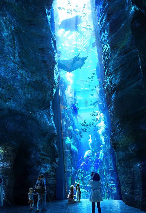 dojoinapp's tweet photo. Escape to an aquatic paradise at SeaWorld Abu Dhabi and be amazed by the beauty of marine life.

Grand opening on 23rd May 2023

Book now https://t.co/Ja2O1QHafg

#dojoin #seaworld #seaworldorlando #orca #killerwhale #seaworldcares #dolphin #sea #orlando #mega #cetacean #shamu https://t.co/qx9rJ60DkC