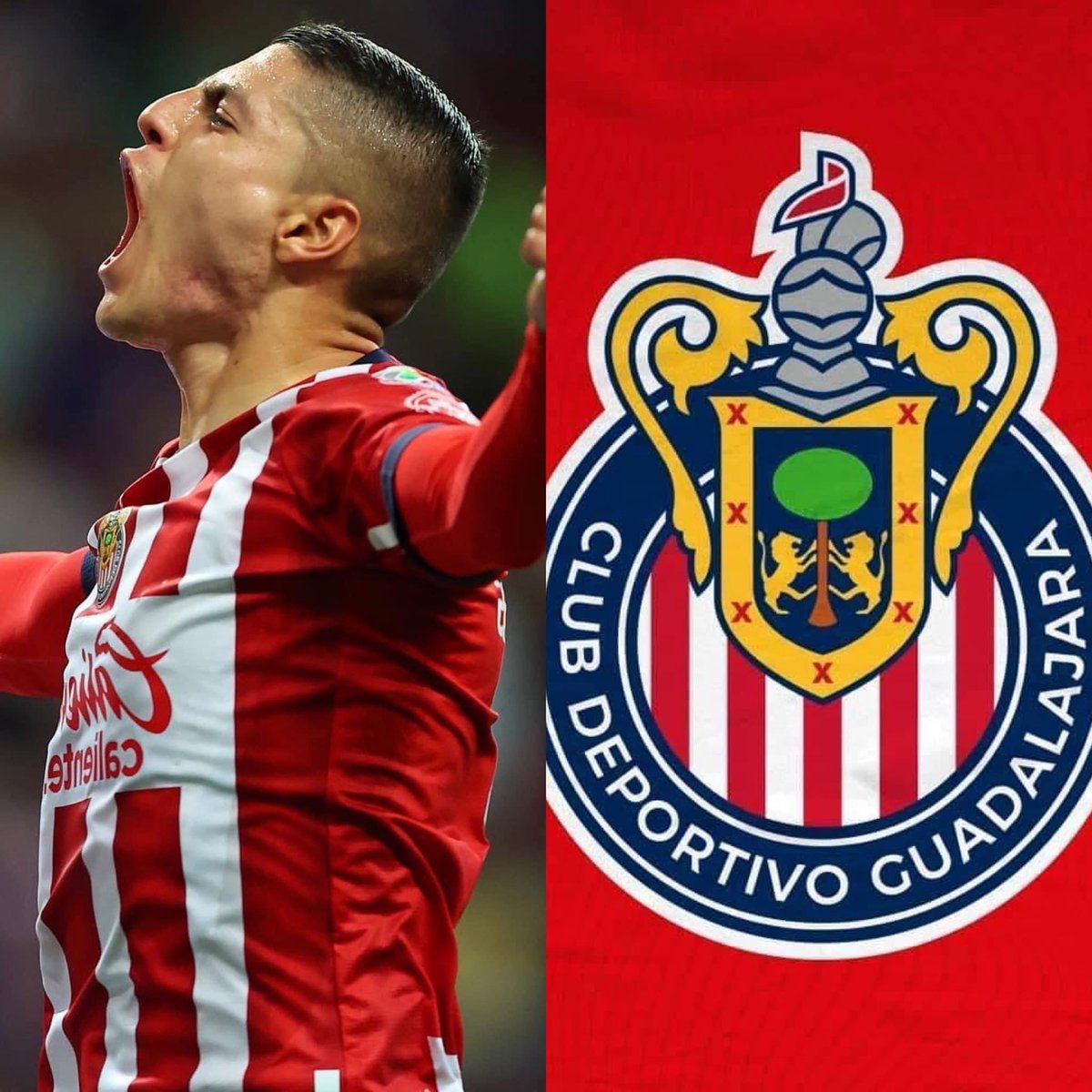 ALTO_IMPULSO_mx's tweet photo. ¡LAS CHIVAS ESTÁN EN LA GRAN FINAL DEL FÚTBOL MEXICANO! 
¡LAS CHIVAS ESTÁN EN LA GRAN FINAL DEL FÚTBOL MEXICANO! 
¡LAS CHIVAS ESTÁN EN LA GRAN FINAL DEL FÚTBOL MEXICANO! 

📷: Chivas. https://t.co/VwVO85cXfo