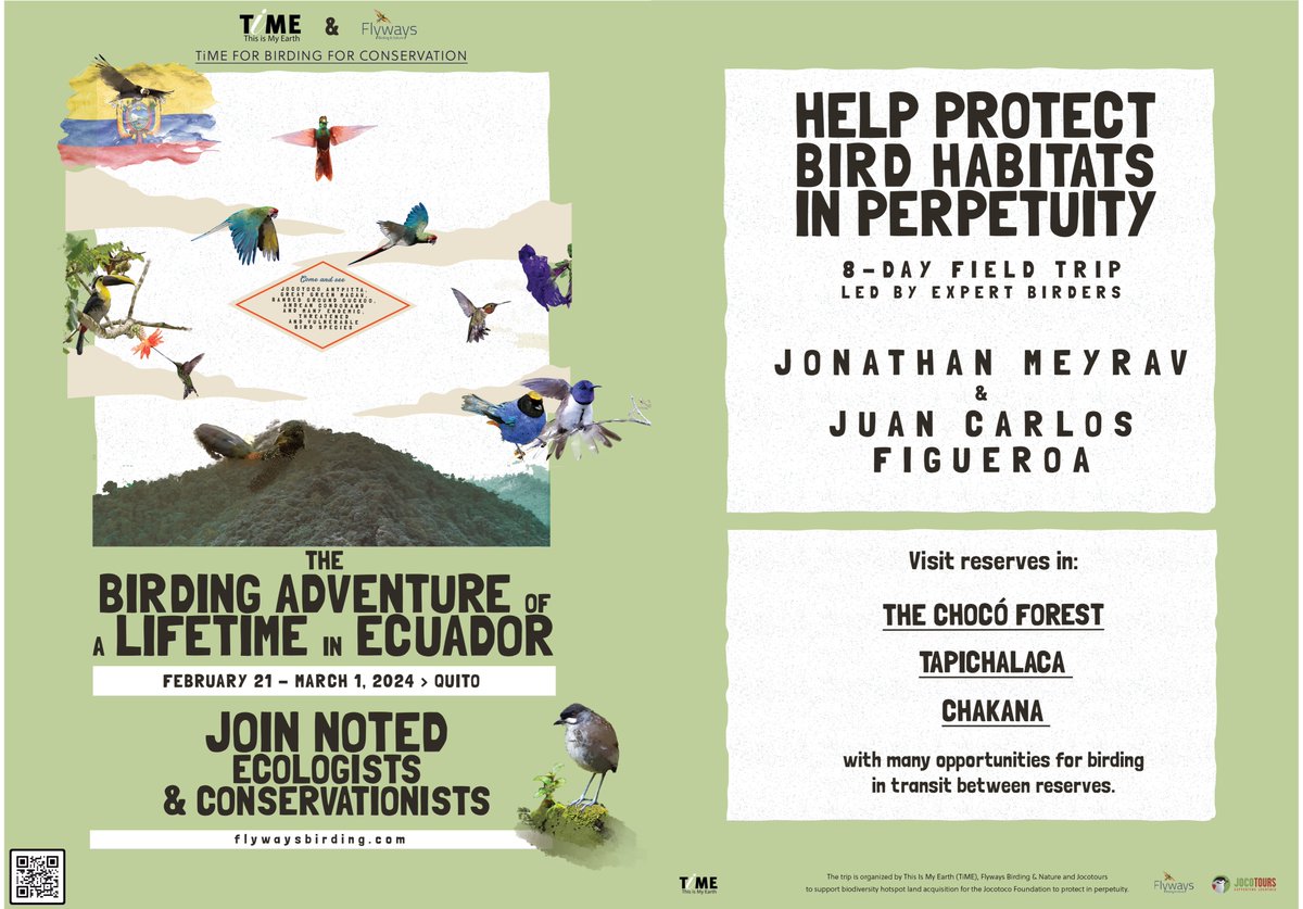 ThisisMyEarth's tweet photo. This is an excellent opportunity to see the Jocotoco Antpitta, Great Green Macaw, Banded Ground Cuckoo, Andean Condor and many endemic, threatened and vulnerable bird species while saving new lands at risk.
🦜https://t.co/2pzx7KP5b9
#TogetherThroughTiME #birds #trip #ecuador https://t.co/dxCy7iVjqt