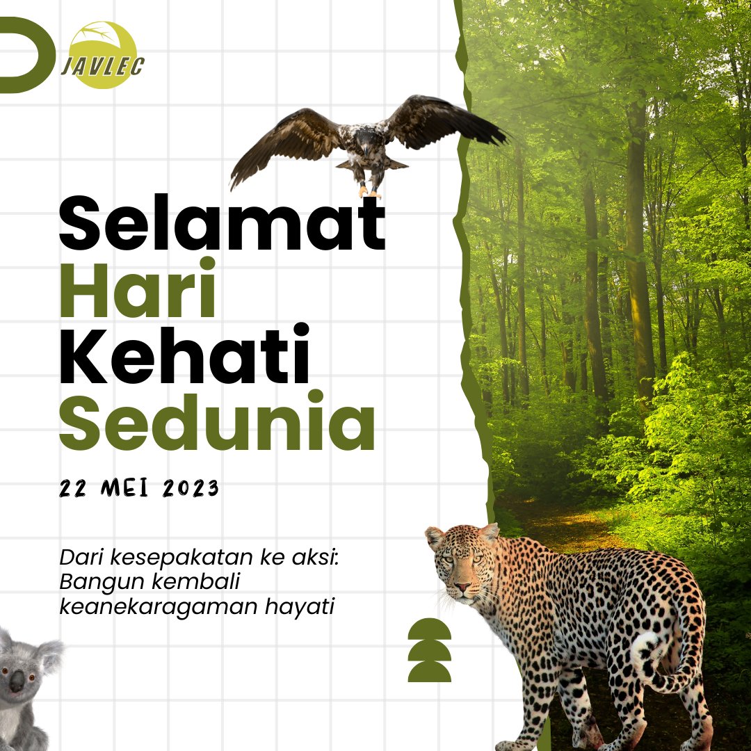 JavlecID's tweet photo. Jangan lupa, perlindungan keanekaragaman hayati bukan hanya tanggung jawab sekelompok orang atau lembaga, tapi tanggung jawab kita semua. Setiap langkah kecil kita menuju keberlanjutan akan membawa dampak besar bagi planet ini. 🌎❤️ https://t.co/eeAWwJ8aYL