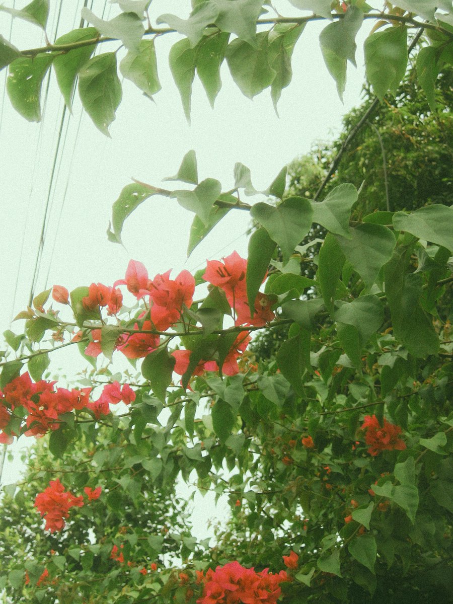 the3rdtone's tweet image. #7mp  
// shot 3