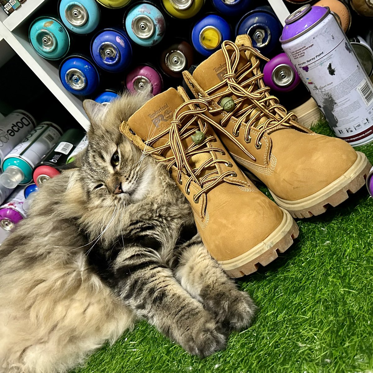 niakie0613's tweet photo. NIAKIE: (talking to Boomie) hon I need photos for the hood cats and hood kitties beads
BOOMIE: Mom, hold my catnip (poses)
Canon enters frame...
CANON: mom take my photo too...
๐
๐
๐
โข
โข
โข
#HoodKitties #HoodCats #resin #beads #accessories #cats #meow https://t.co/NmHrwdqqi4