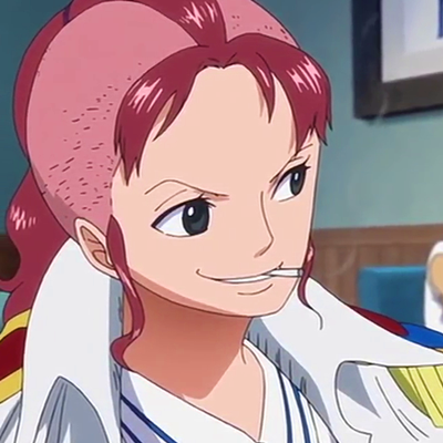 ㅤㅤ
Yes a Den Den Mushi would be useless but what isn't is a Camera Snail wouldn't. 
ㅤㅤ