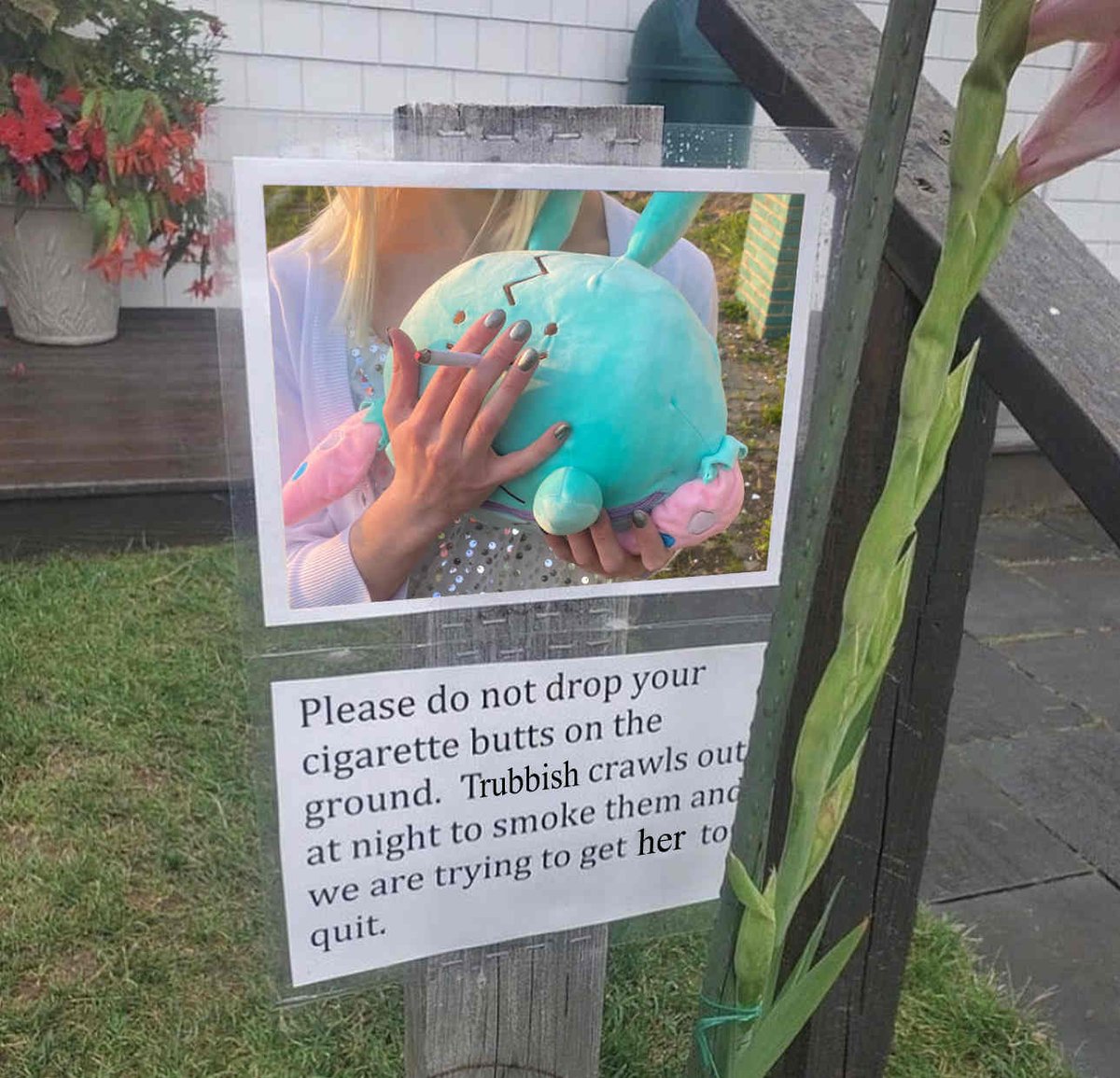 I'm asking nicely.