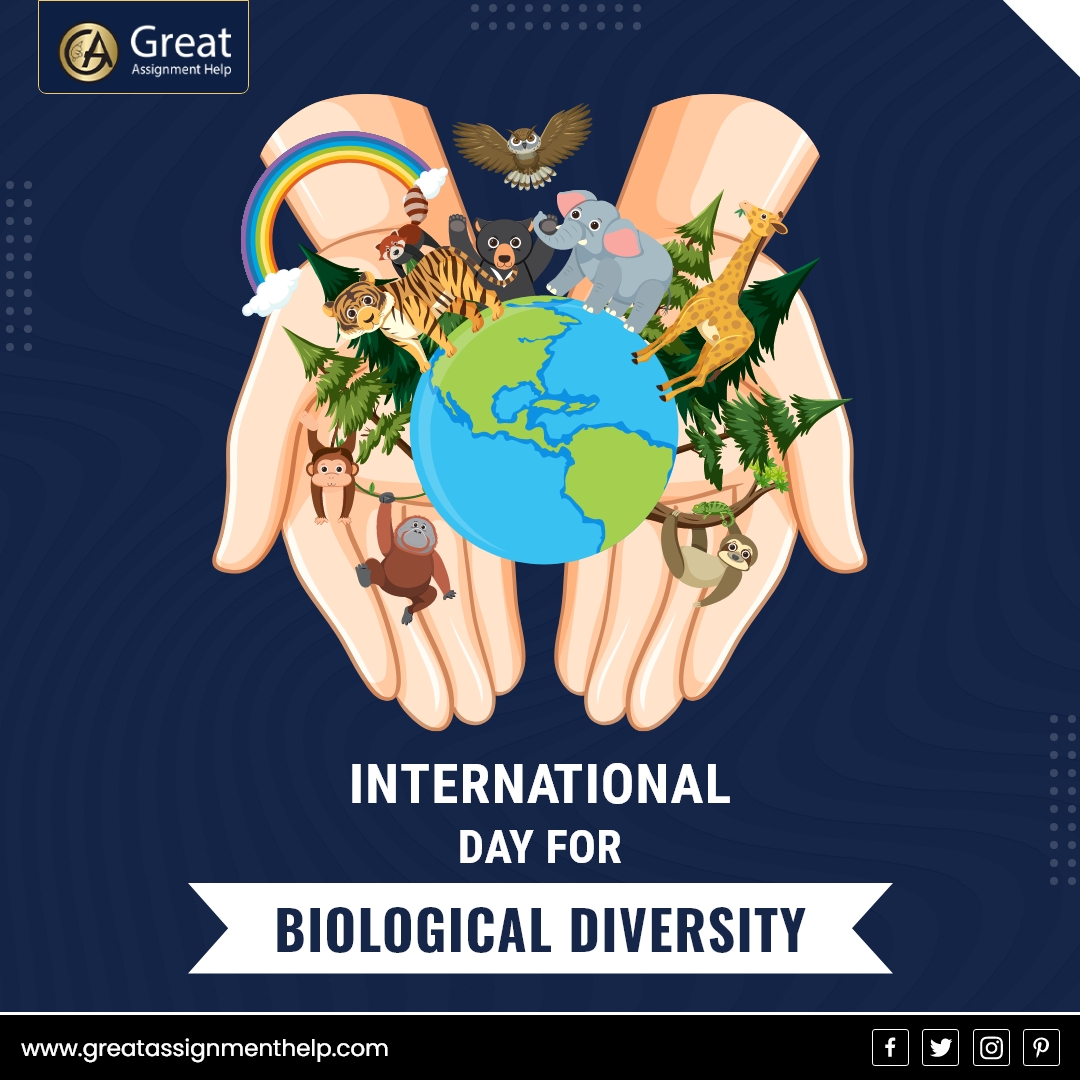 AssignmentGreat's tweet photo. Biodiversity is the living fabric of our planet
Avail- https://t.co/vxXb6i5ZYK with Greatassignmenthelp
#biodiversity #nature #wildlife #savetheplanet #sustainable #urgentassignmenthelp #assignment #assignmentwriting #assignmenthelp #javaassignment #java https://t.co/GNZPuWsqkK