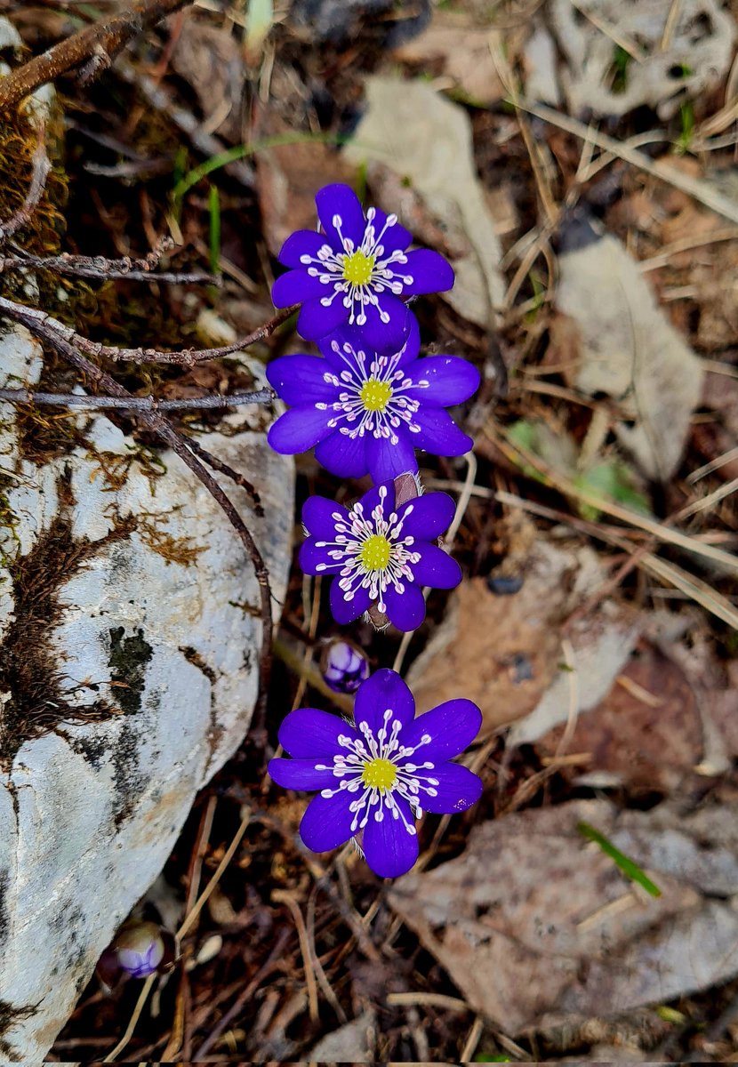 Bjeshkët e Nemuna- Accursed Mountains, Pejë, Kosovo...