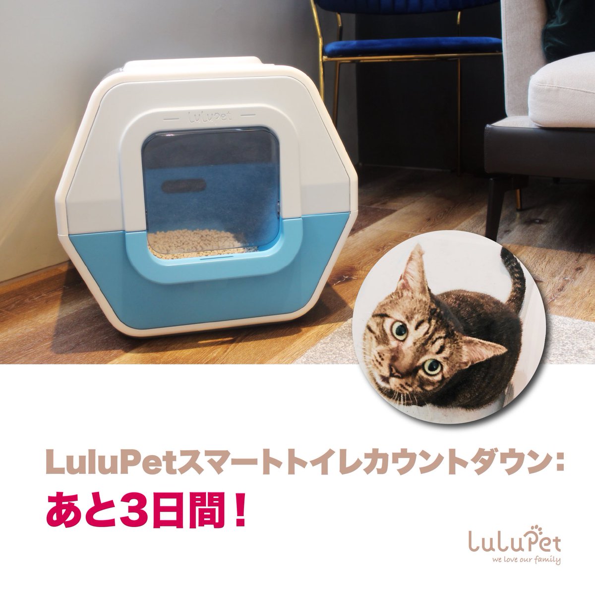 LulupetJapan's tweet photo. ⏰LuluPetスマートトイレ カウントダウン：あと3日間！✨
まだ予約していない猫ちゃんファンたちはどこかにゃ〜？😺いますぐMakuakeで予約✅
🛒 https://t.co/w7MkaKVN9t https://t.co/aVgGRs7Erv