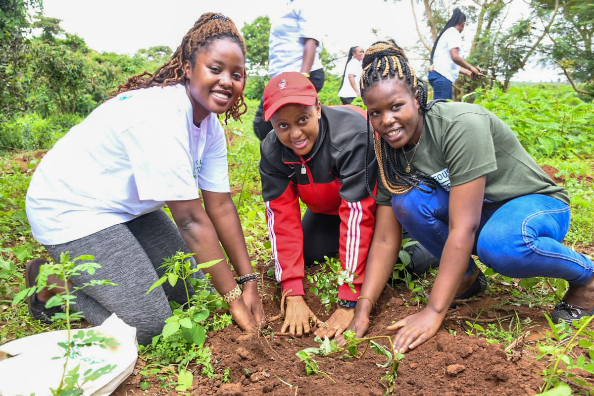 The recently concluded Kenya Youth in Forestry Conference was a great platform for discussions highlighting the importance of youth in achieving 30% tree cover and exploring favorable policies for their engagement in forestry. @YouthinForestry  #YouthInForestry