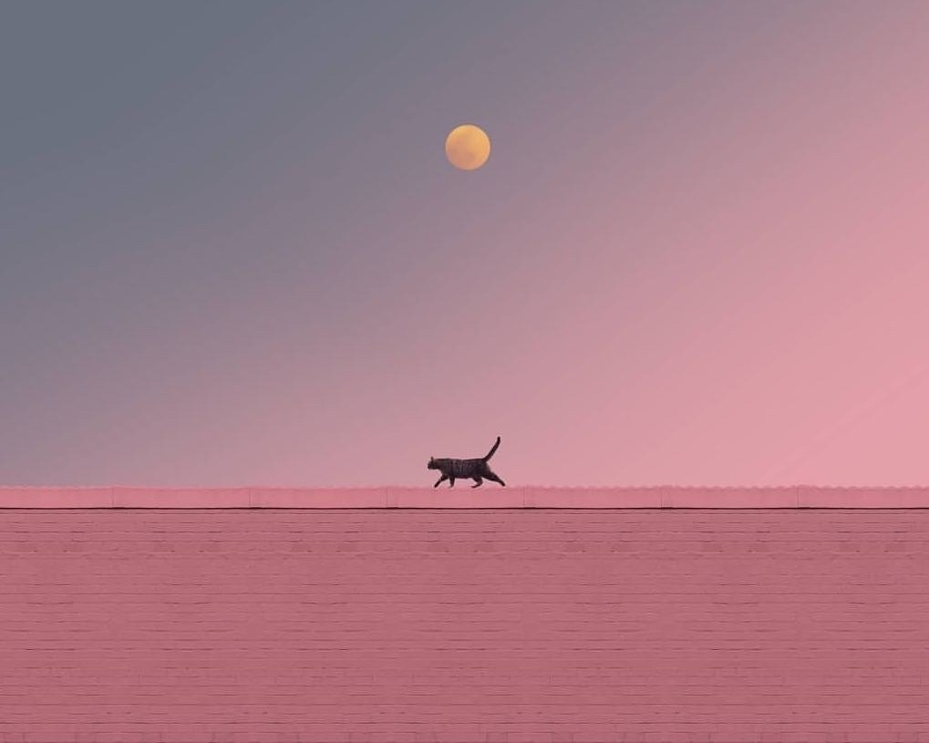 colangeloTest's tweet image. Make friends who make you happy, love people who won't make you cry, go in the direction you want to go, and fulfill dreams no matter how big or small. Life should be beautiful and gentle, and so are you.