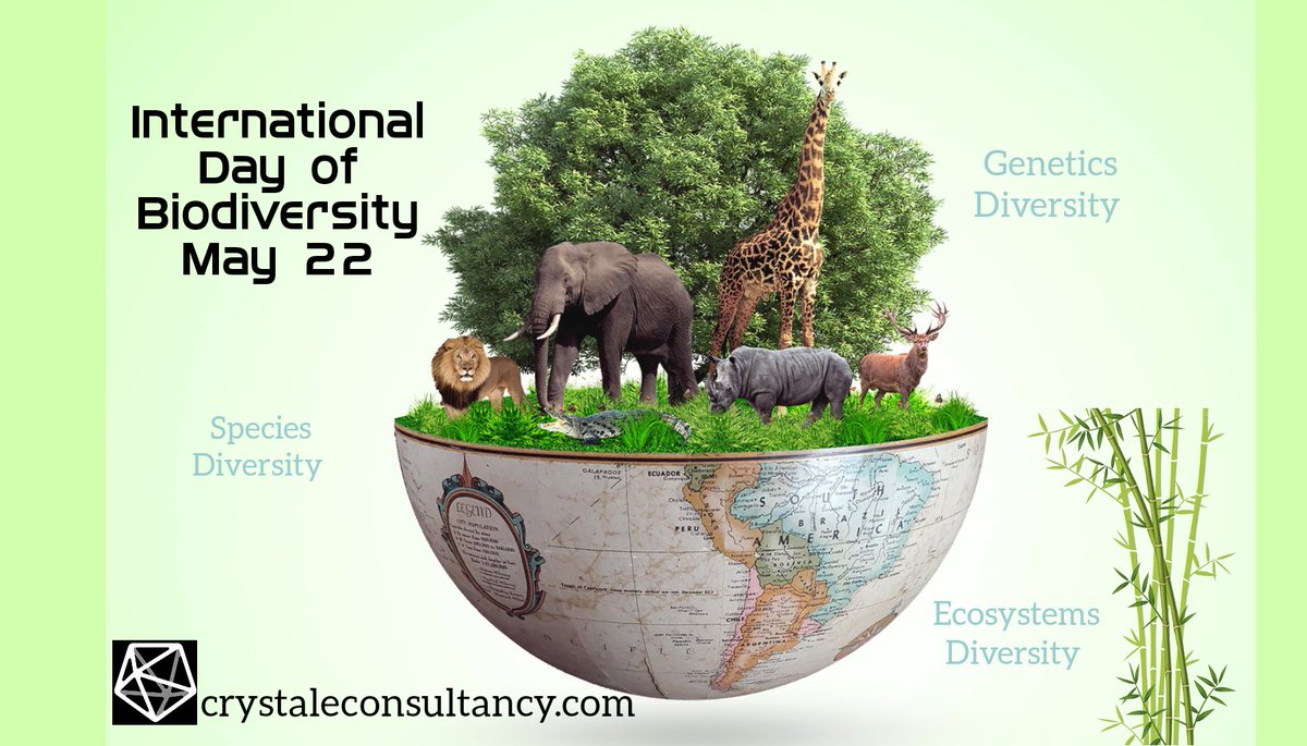 Crystal Environmental Consultancy tweet media