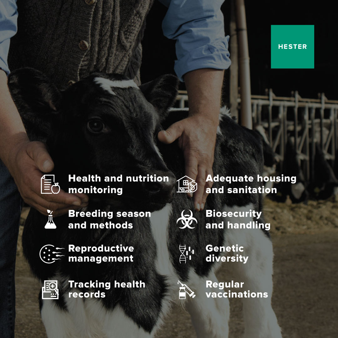 Hesterindia's tweet photo. Implementation of these preventative measures can help enhance the quality of life in cattle.
#Hester #AnimalCare #PreventativeMeasure #HealthyAnimals https://t.co/nB9bTH5vYE
