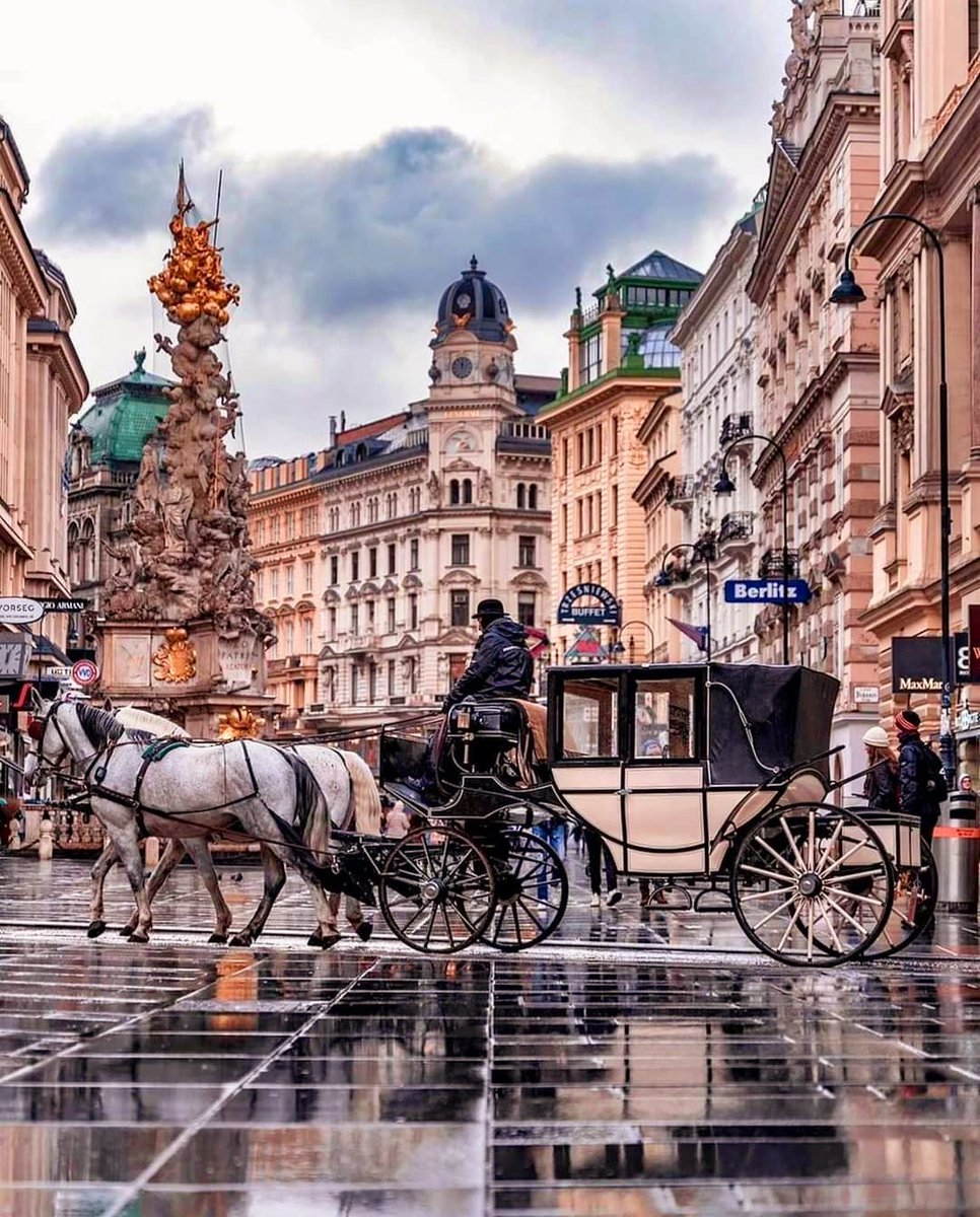 islamicvirals's tweet photo. Vienna, Austria 
 #touristplace #tourism #tourisme #Travel #TravelEasy #travelphotography #traveltips #traveling #travelling #travelblogger #Vienna #Austria #austriaforlife #nature #travellife #austriaslovakia https://t.co/Fnei4qn3wN