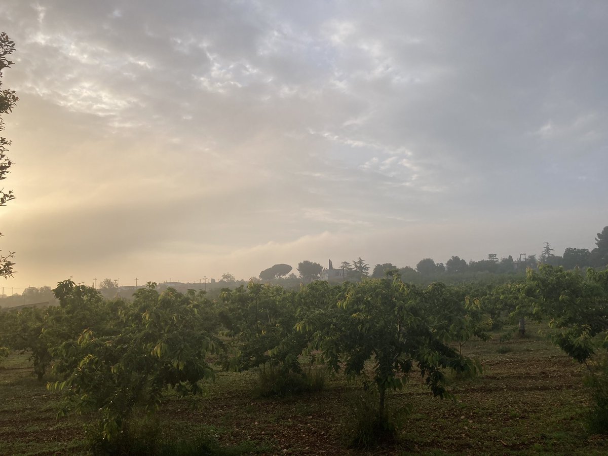 A muggy start. #Apulia #apuliatravels #pugliastyle #Italytrip #Italy #Italy🇮🇹 #Italia #italy_creative_pictures #Italy_vacations #Italian_place #loveitaly #loveitaly🇮🇹 #italytravel #europe #europetravel #vacations #Holidays #travel #travelplans #italianlandscapes