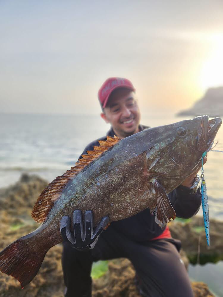 palms_global's tweet image. Shore Jigging with JIGARO Super Slide in Italy 🇮🇹
Rod: Shore Gun F 103XH
Lure: JIGARO Super Slide 80g Sardine color(MG-10)
#palms #palmsfishing #grouper #grouperfishing #shorejigging #shorejig #metaljig #metaljigs #shoregunevolv #jigaro #shorefishing #landbasedfishing
