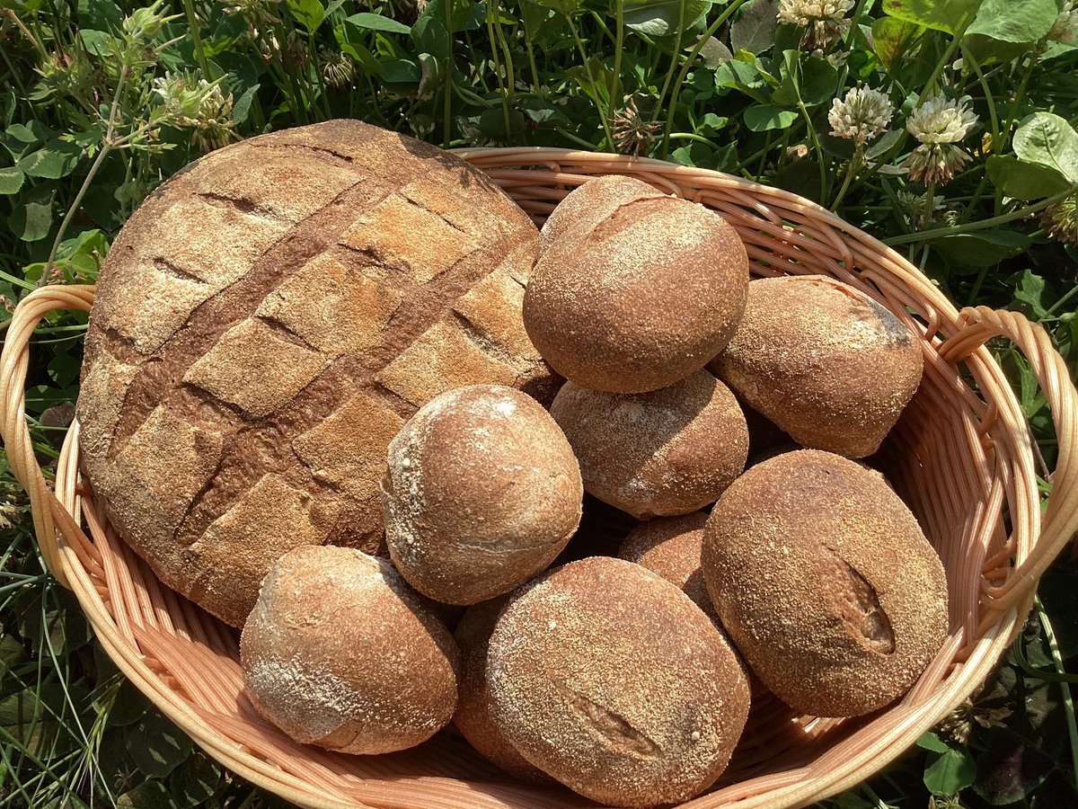 SomnielKitchen's tweet image. result D

The taste was good. But it looks...
味は良かったけど見た目は・・・🫠

#田舎パン
#PeasantBread
#PainRustique
#FEエンゲージ
#FEEngage
#FireEmblem
#ファイヤーエムブレム
#NintendoSwitch
#SomnielKitchen
#ソラネルキッチン