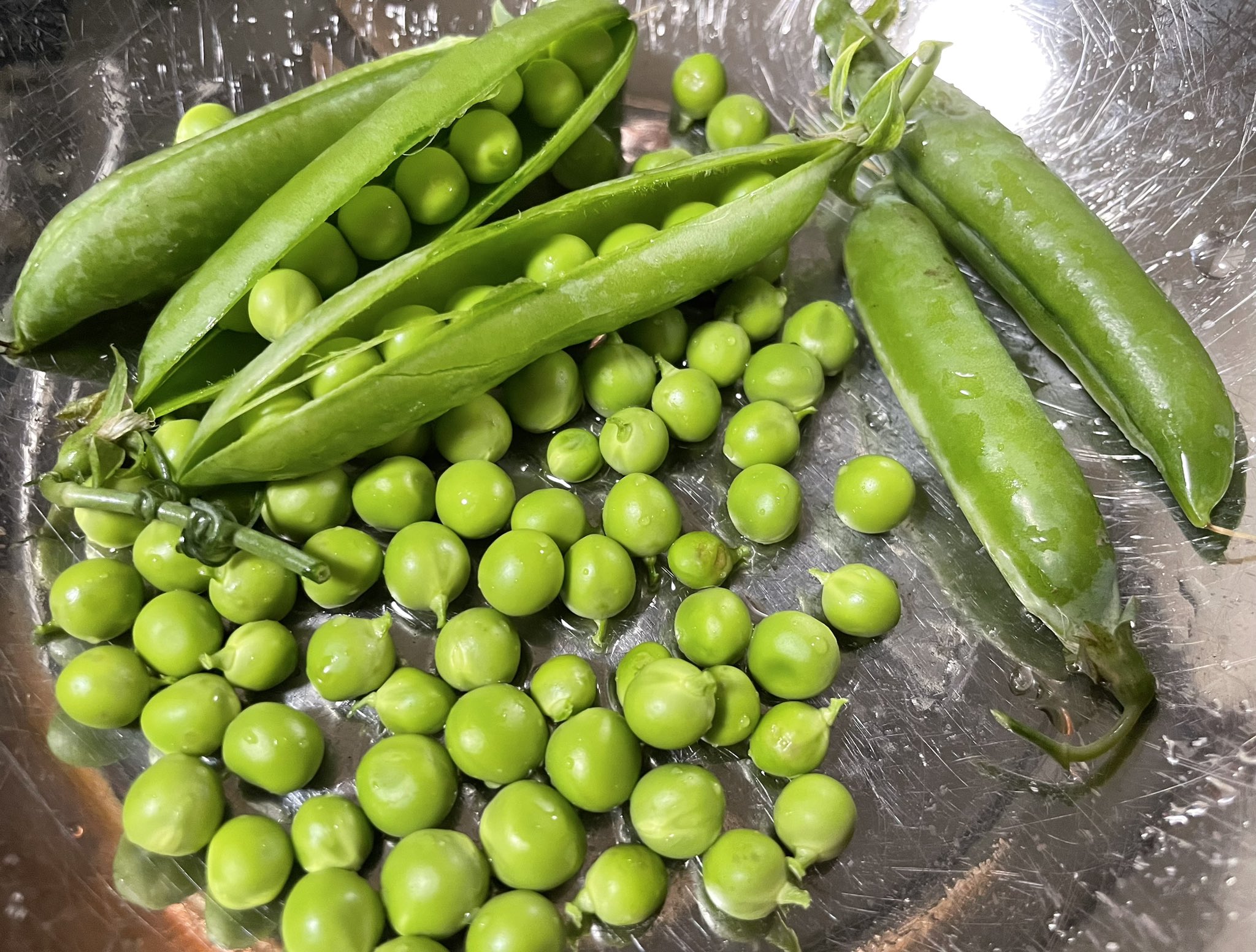 比古地朔弥 (hikochichi) / Twitter