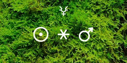 Aeonbird's tweet photo. Sun sextile Mars #astrology #livetransit https://t.co/dryKm11n3L