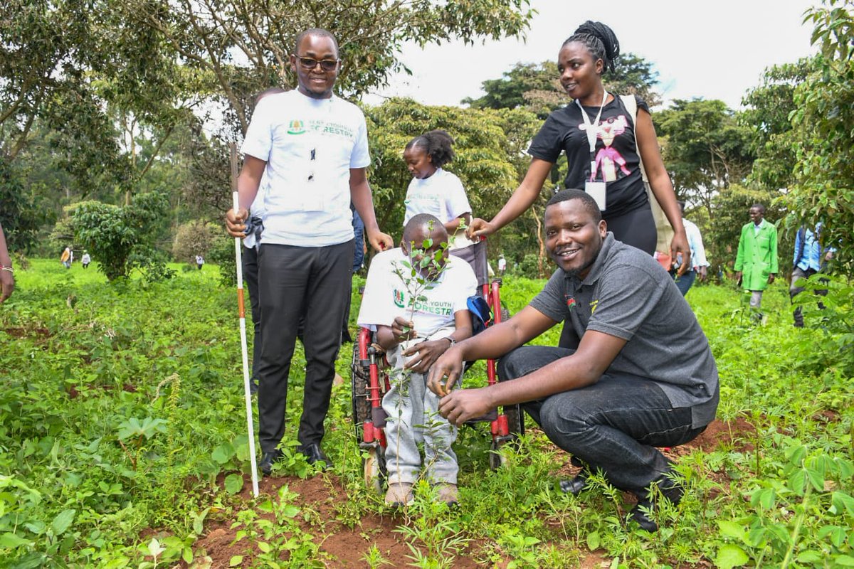 Our CEO @kikwai_jr_ joined stakeholders, including Margaret, CEO @nyc_youthvoice, in a tree planting exercise in Kibiko, Ngong as part of the Kenya Youth in Forestry initiative. Special thanks to the youth who showed up to plant 3,000 trees in Kibiko. @YouthinForestry