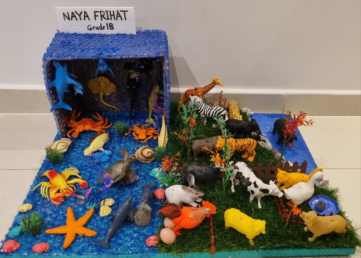 AIS_Grade1's tweet photo. Grade 1B student Naya Frihat was very excited about her project on Animal Types, which included wild, farm, and sea animals. 🦒🐎🐟

Great job Naya! 

#AISGrade1 #AISPrmarySch #AISJourneyToSucess https://t.co/8uSE1HxBOR