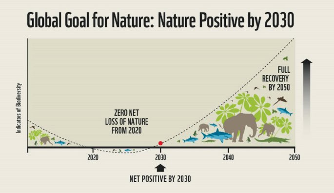 ABarirega's tweet image. As we celebrate the International Day for Biodiversity today, the planet remains on a steady path to self destruct. The human population continue to explode and biodiversity continues to decline. We must restore nature or perish with it.