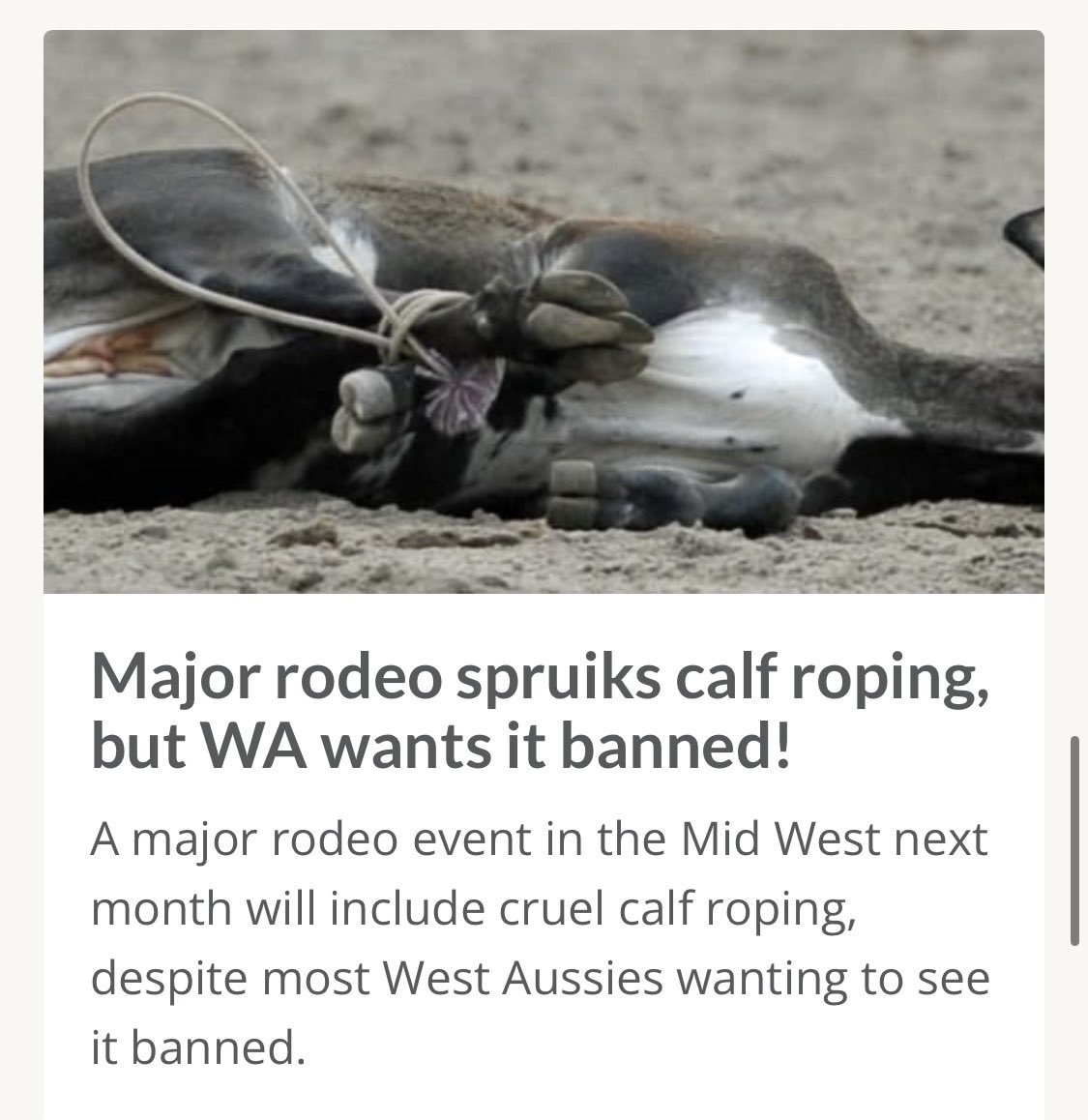 ANIMAL ABUSE FOR ENTERTAINMENT 🤬💔 #WesternAustralia APPALLING #Rodeo #MullewaMuster #calfroping COWARDLY BULLIES