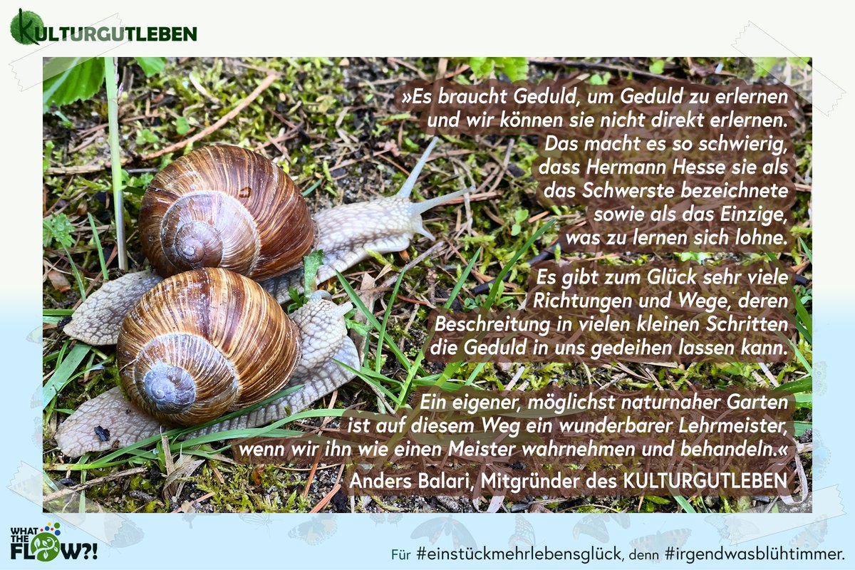 kultumea's tweet photo. "Blinder  Fleck": In vielen Kontexten hat Fleckgröße in Umkehrung dieser  Bezeichnung das, was wir sehen können. Der nicht einsehbare Bereich ist  dann vielleicht riesengroß.
#kulturgutleben #wattefloh #einstückmehrlebensglück #irgendwasblühtimmer https://t.co/ZPLdfyB8tU