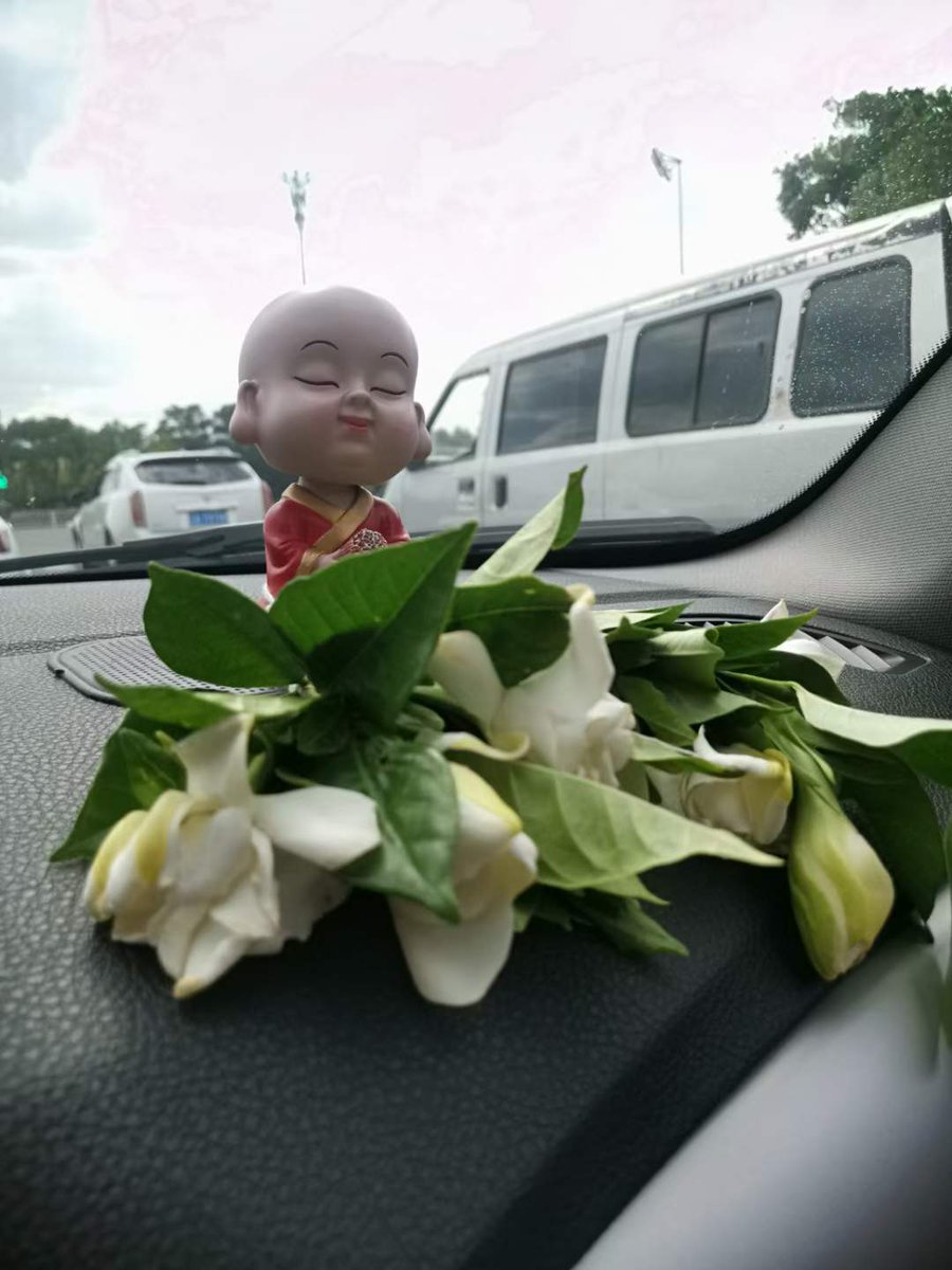 Anne48427122's tweet photo. 走线去美，现在挂壁在丁胖子广场的殖人二🐶子们！如果你们感觉快熬不下去了，请务必想一想在半路朝着故乡吐的那口痰！一定要坚持，做有骨气的🐶，死也死在美利坚，别回来！拜托咯，加油 https://t.co/4tihAeaWAU