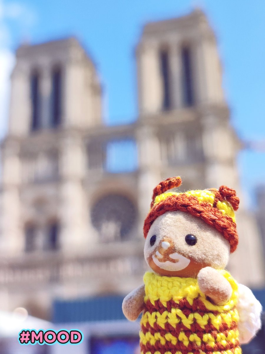schrei_und_tod's tweet photo. Visiting the Notre Dame.
It's still being renovated after the devastating fire.
#cute #かわいい #cutenessOVERLOAD #シルバニアファミリー #シマネコ #シルバニアの赤ちゃん
#calicocritters #SylvanianFamilies #BabySylvanian #ShiBee🐝 #ShimaInParis #NotreDame https://t.co/VR6KyzgLf8