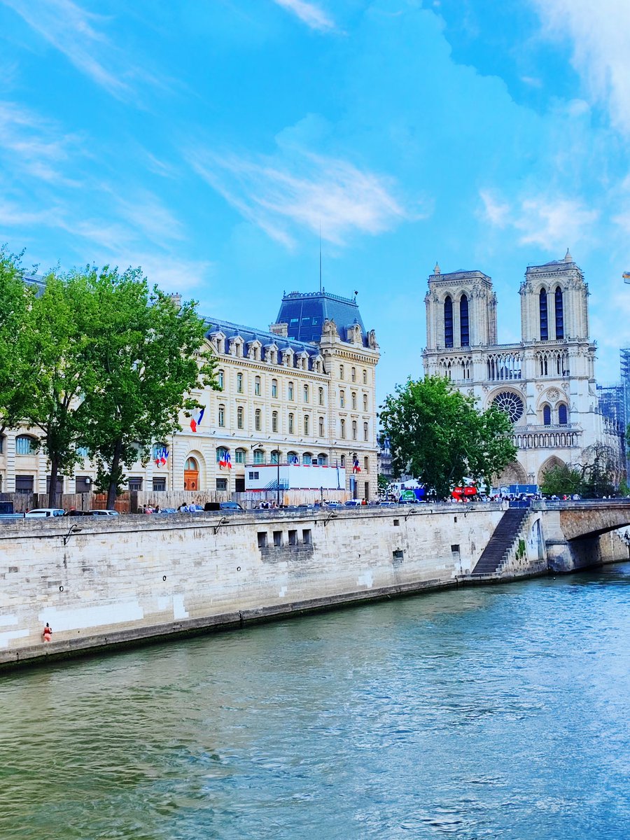 schrei_und_tod's tweet photo. Visiting the Notre Dame.
It's still being renovated after the devastating fire.
#cute #かわいい #cutenessOVERLOAD #シルバニアファミリー #シマネコ #シルバニアの赤ちゃん
#calicocritters #SylvanianFamilies #BabySylvanian #ShiBee🐝 #ShimaInParis #NotreDame https://t.co/VR6KyzgLf8
