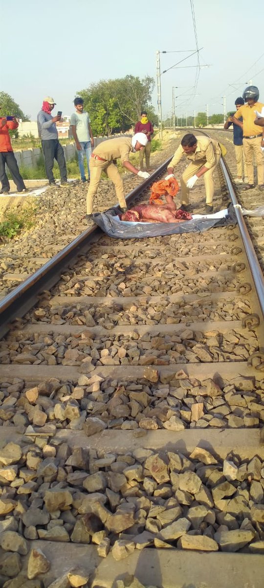 prem43323381's tweet photo. @ShivaGopalMish1 @AshwiniVaishnaw @ITFglobalunion @RailMinIndia दिनांक 21/05/2023 वाराणसी मंडल के माधो सिंह रेल सेक्सन में ड्यूटी के दोरान कीमैन ट्रेकमेन्टेनर  योगेन्द्र प्रताप सिंह रनओवर शहीद होने के उपरांत डेड बाडी पर रेगुलर ट्रेन चलाई गई, दर्दनाक मौत के बाद भी अत्याचार.
#save_comrade_life 
#STOP_RUN_OVER_Death
#AIRF  #NERMU #ECoRSU 
😢 https://t.co/i8DMYeN711