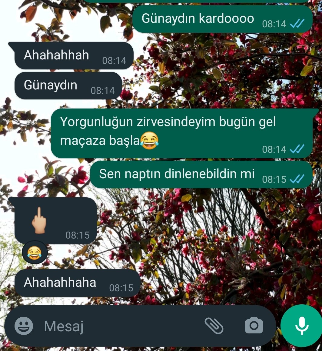 azbilmiss's tweet photo. Kardeşimle aramda geçen sıradan bir konuşma 😅 https://t.co/i9pADnBEoN