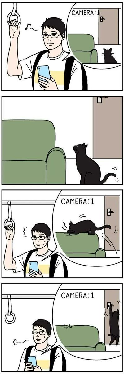 ペットカメラは知りたくなかったことも知ってしまう【男の猫道】ねこのきもちWEB MAGAZINE限定話 vol.182|ねこのきもちWEB MAGAZINE 