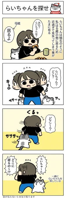 らいちゃんを探せ・丸見えふうちゃん│フェリシモ猫部   @felissimonekobuより