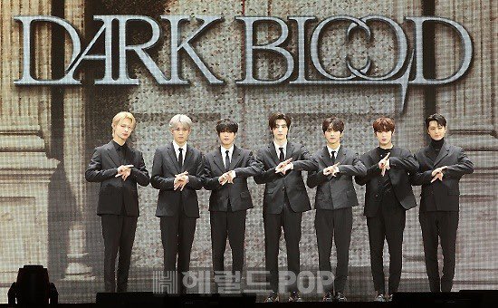 enhypenupdates's tweet photo. [PHOTO] 230522

ENHYPEN on today’s Media Showcase for #DARKBLOOD | K-Media Photo (1)

@ENHYPEN_members @ENHYPEN
#ENHYPEN5thComeback_DDAY #BiteMe https://t.co/rpkqeZ6KNx