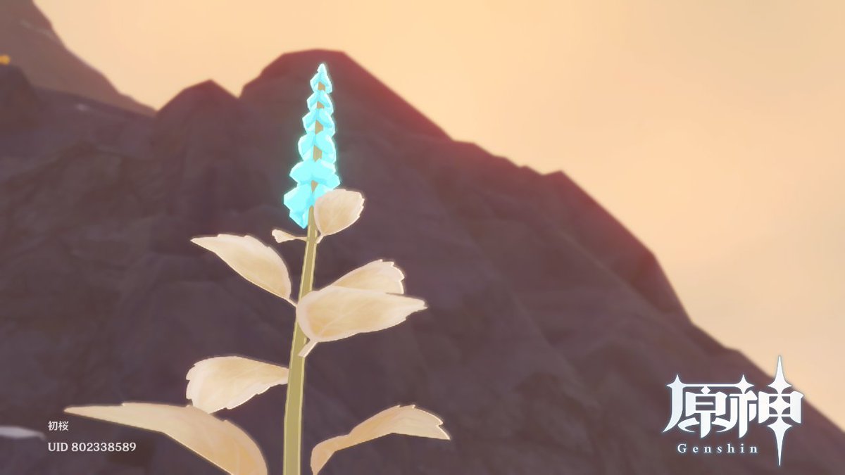 hatsuzakura_gi's tweet photo. 3368
雪山ミント
・~・~・
夕色の葉。
Snow Mountain Mint
・~・~・~・~・~
Evening leaves.
#原神 #原神写真部
#ドラゴンスパイン #積雪の道
#GenshinImpact #Dragonspine
#SnowCoveredPath https://t.co/wNBYiXTKfq