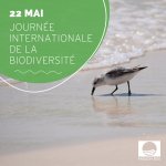 Photo by Pavillon Bleu France (@PavillonBleu)