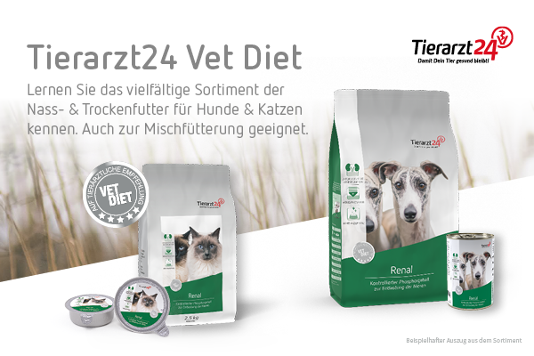 RT <a href="/docgoy/">Dr. Reinhard Goy</a>   Trockenfutter, Feuchtfutter oder Mischung? Was ist richtig?  hund-katze-heimtier-kleintier.de/trocken-nassfu…  🐕🐈