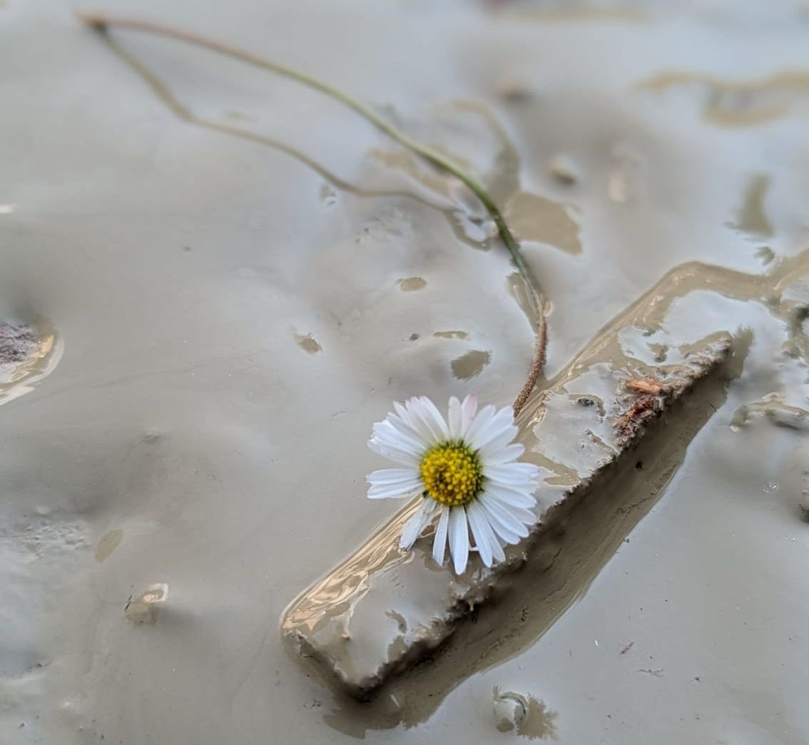Ciao a tutti,
Come sapete al momento il mio unico pensiero è per la mia terra e tutte le persone che la abitano.
Da qualche giorno sto aggiornando le mie storie ig con tutte le info di raccolta utili, alle quali anche io ho aderito e che sono certa essere serie. 

Ho deciso di