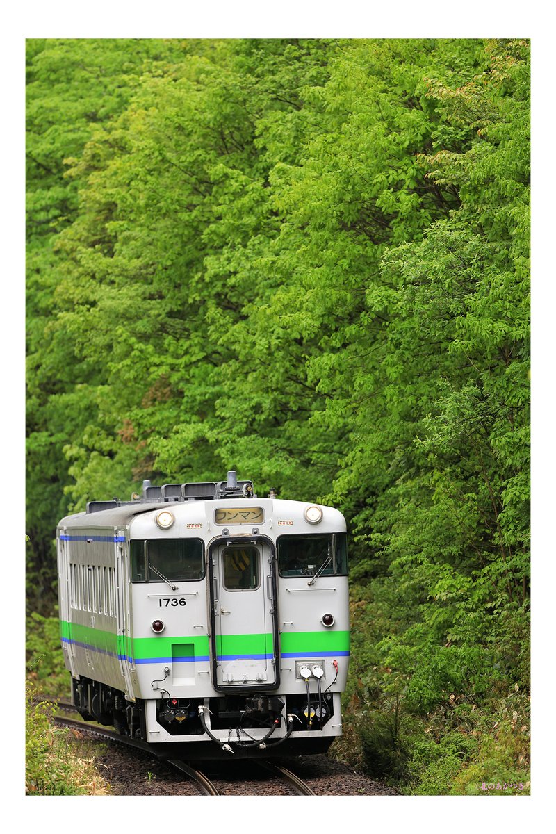 「緑あふれる車窓」やっぱり単行のヨンマルはよき😍石北本線昨日