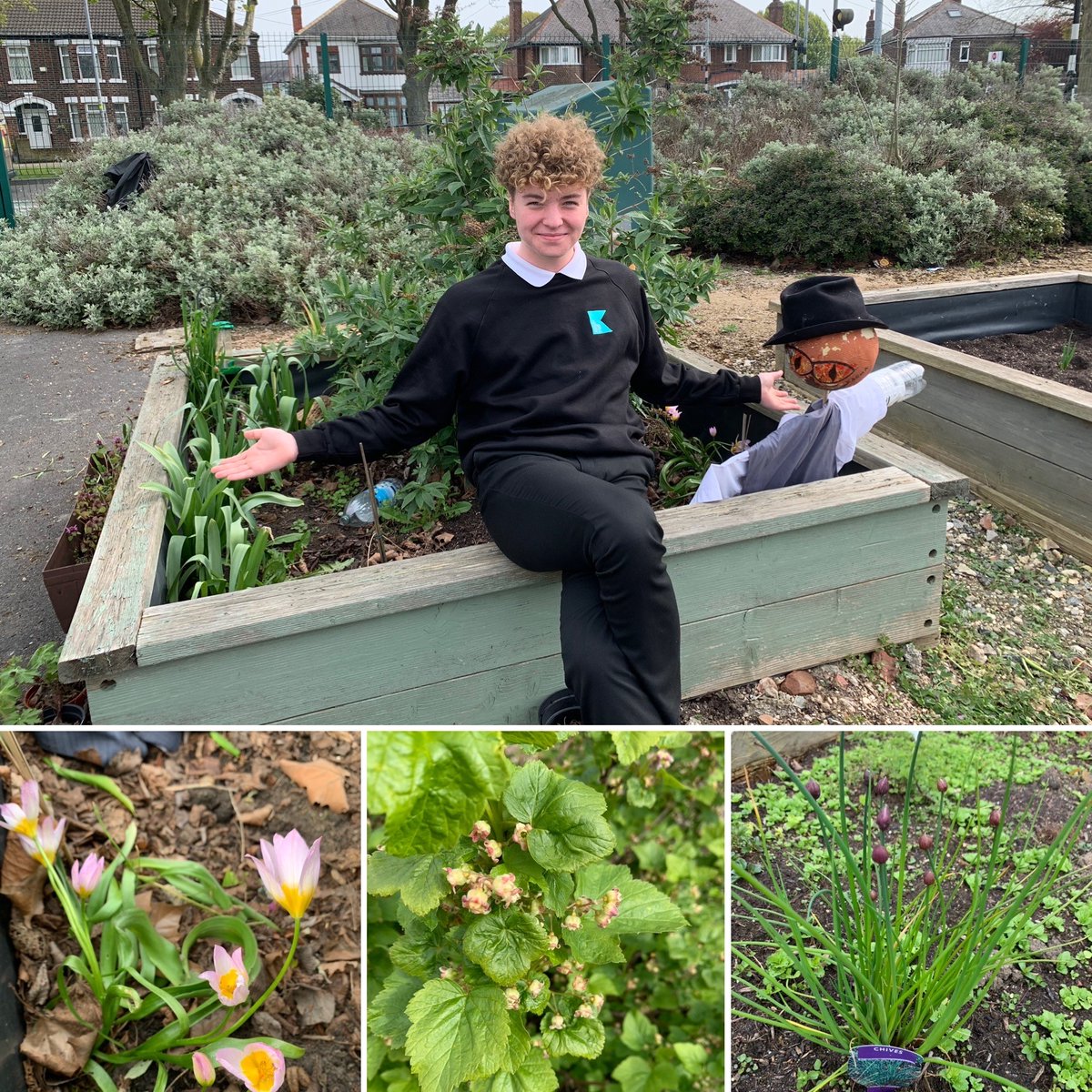 The Autism Spectrum Condition (ASC) Hub at Kelvin Hall, started their DofE journey, receiving funding toward the skill section - gardening in the allotment.
They have been busy putting up a new polytunnel, planting herbs, making scarecrows and a wildlife garden! <a href="/kelvinhall_hull/">Kelvin Hall School</a>