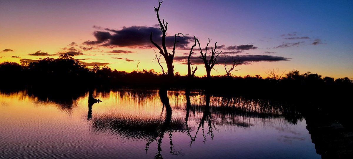 A frost warning has been issued for the Riverland – temperatures could drop to a chilly -2°C tomorrow morning. 7NEWS viewer Ingrid Elzinga has captured a peaceful view at Cobdogla near Barmera. <a href="/AmeliaMulcahy7/">Amelia Mulcahy</a> has the latest forecast in 7NEWS Adelaide at 6pm. #7NEWS