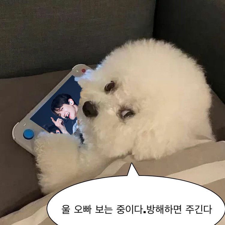 sw2ttii's tweet photo. 백현이두 꼭 행복한 하루 보내!🤍 https://t.co/6oPOrJILP3