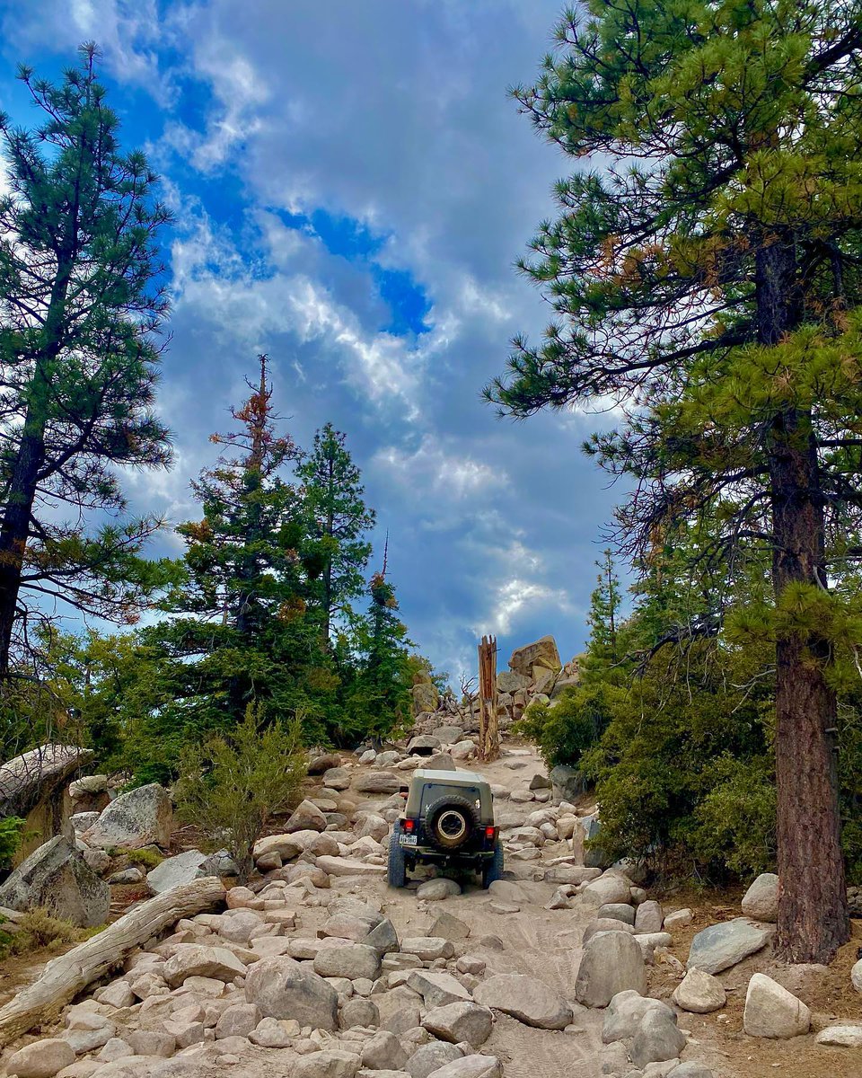 4WheelOnline's tweet photo. Nothing worth having comes easy! 💪

#mondaymotivation #workhard #dreambig #keepmoving  #offroadinglife #mickeythompsontires #wranglernation https://t.co/7rdWbmzSyo