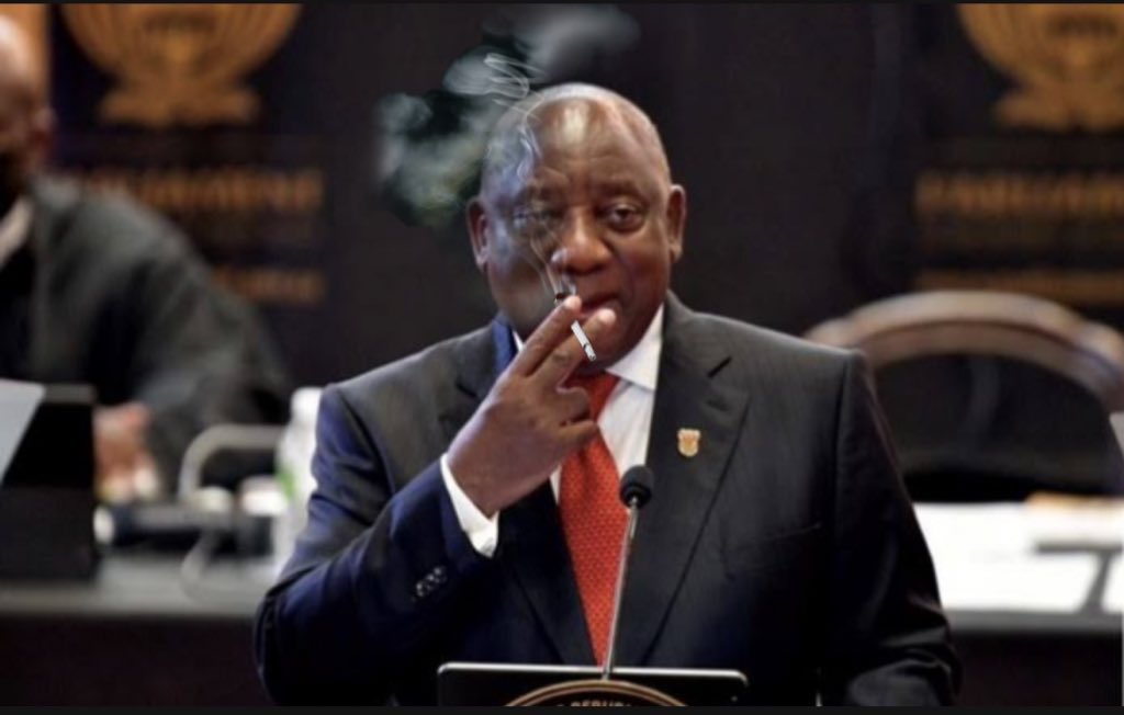 @4kdej_ <a href="/BrutalMindset/">Brutal Mindset</a> King